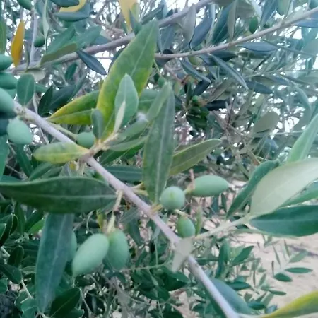 Tenuta Marra * Trepuzzi